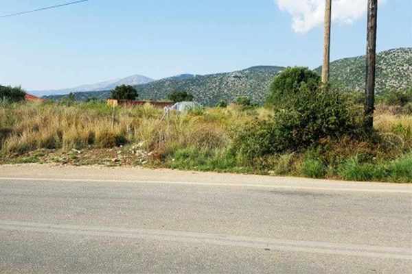 parcel-2105-located on the main road