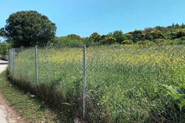 plot-2706-located on a road