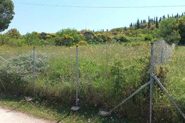 plot-2706-in a lush green location