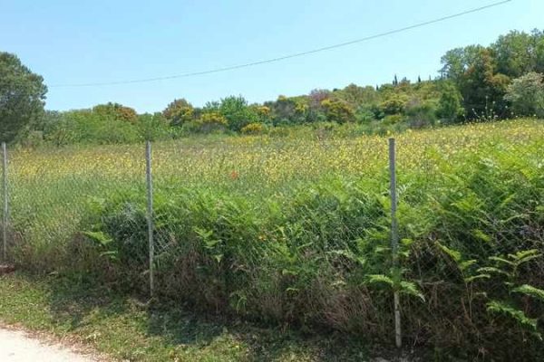 plot-2706-located in Karya village