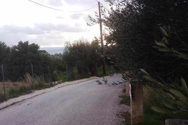 A plot is for sale in the area of Afrato, in Kefalonia