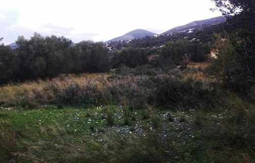 A plot is for sale in the area of Afrato, in Kefalonia