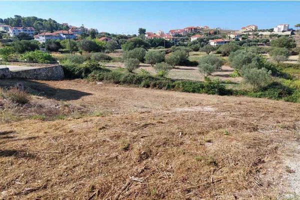 helmata-2780-view of the plot