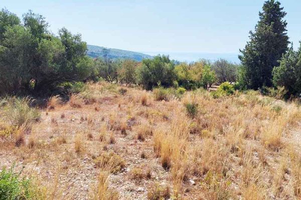 plot-2765-mountain view