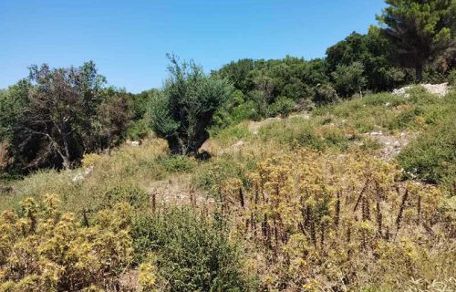 plot-sale-markoulata-2773-4