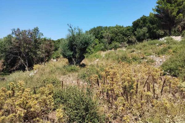 plot-sale-markoulata-2773-4