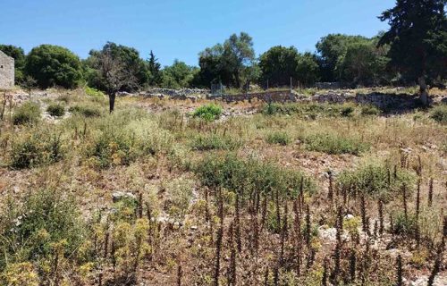 plot-sale-markoulata-2773-5