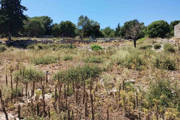 plot-sale-markoulata-2773-6