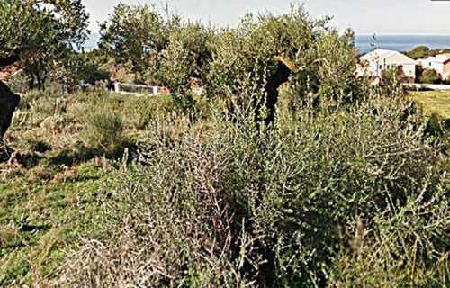 plot-2607-view of the landscape