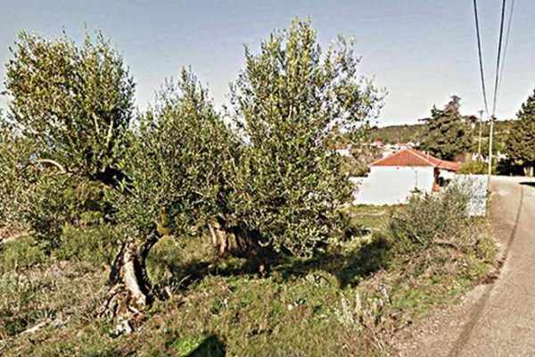 A 1,064.38 sq.m buildable plot is for sale in Markoulata, Kefalonia