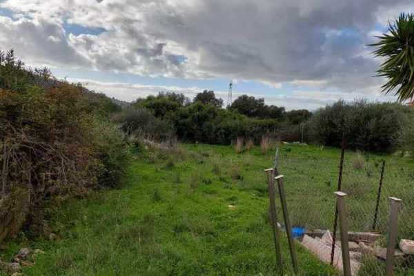 plot-2641-view of the landscape