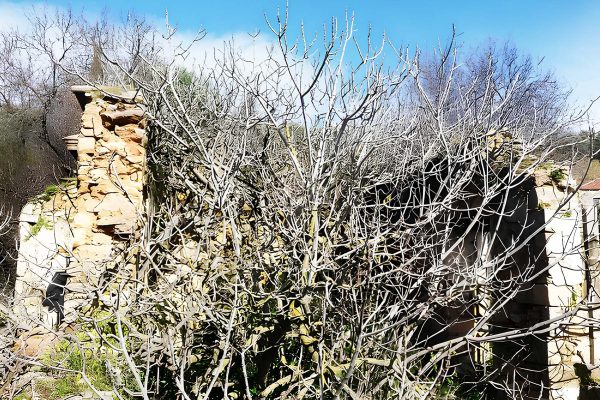 property with trees in Svoronata - property id 2157