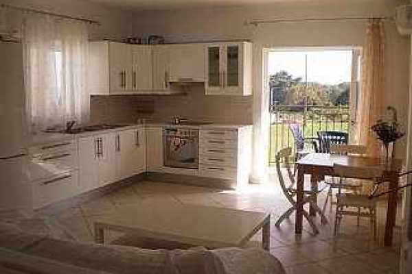 business-2312-view of kitchen and living room