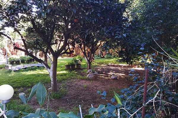 property-sale-skala-in-kefalonia-2467