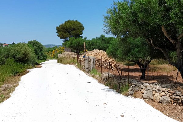 View of the road of the parcel in Paliki - property id 2338