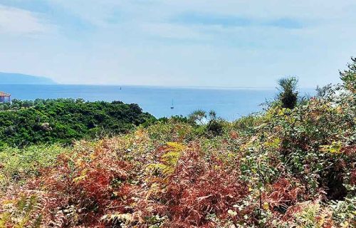 parcel-2756-above the beach