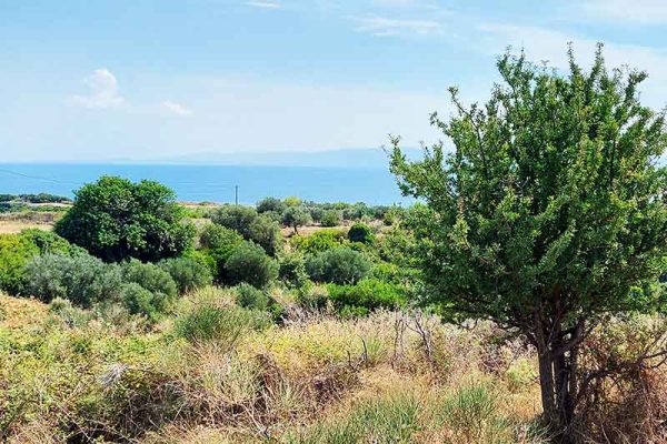 parcel-2756-with sea views