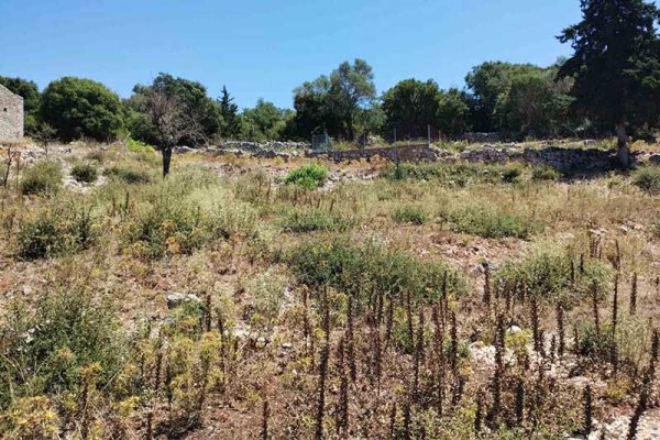 sale-plot-markoulata-2774-6