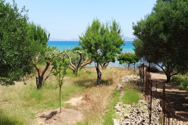 View of the parcel in Paliki - property id 2338