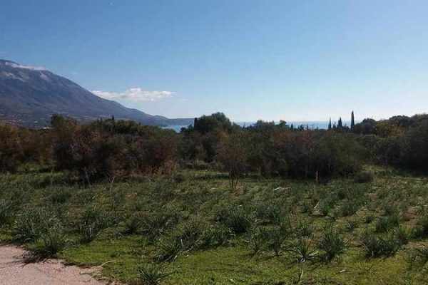 Tourist and hunting establishment for sale in Kefalonia