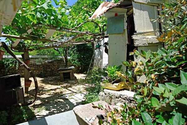 traditional house-1992-view of the garden