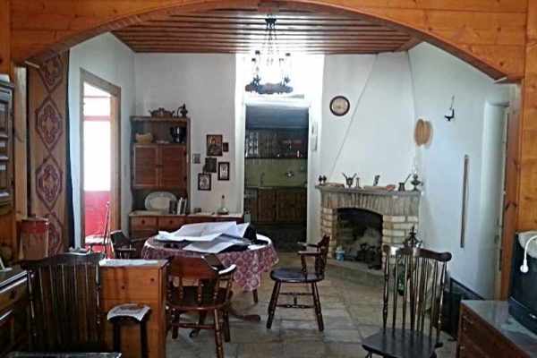 traditional house-1993-living room