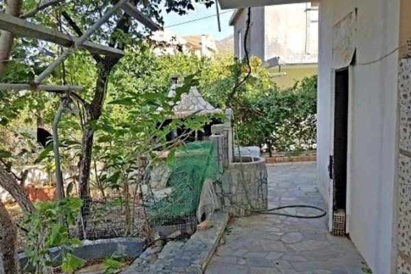 two storey house-2102-view of the garden